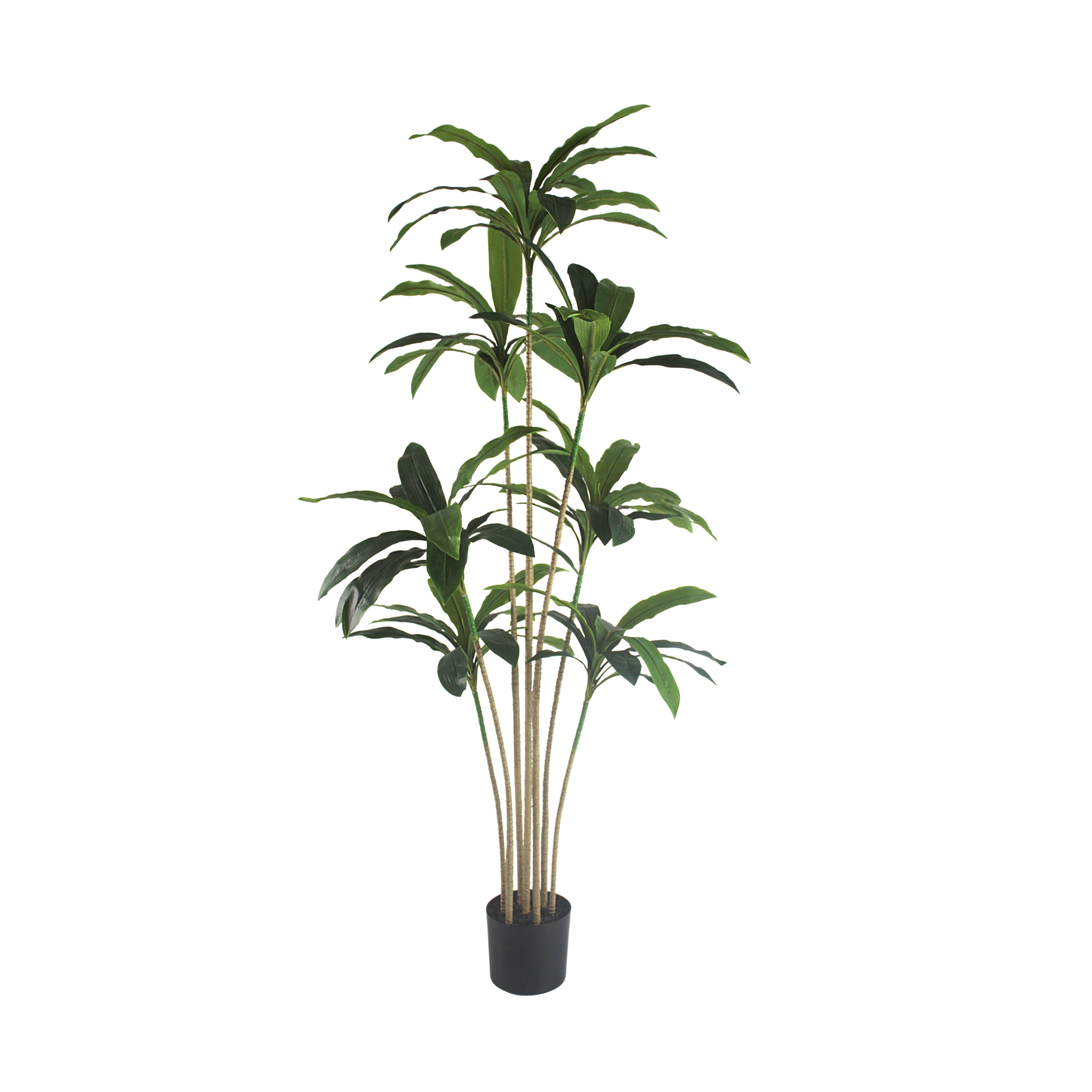 Faux Plants