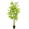 Bamboo__1__160CM
