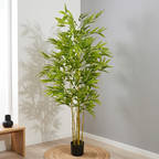 Bamboo__1__160CM