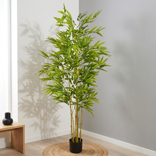 Bamboo__1__160CM