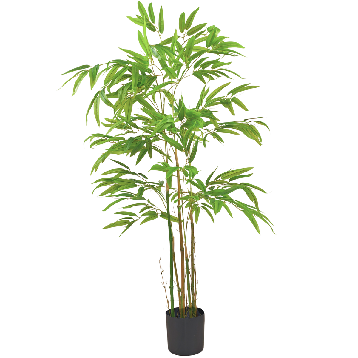 Bamboo__1__120CM