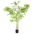 Bamboo__1__160CM