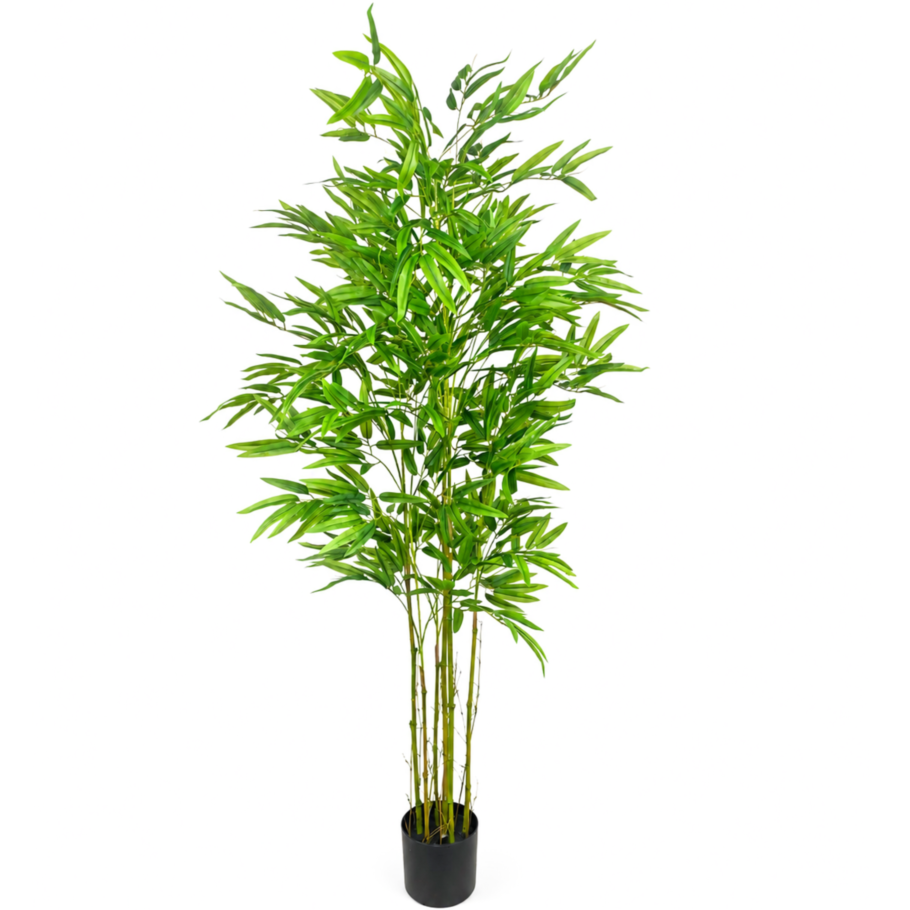 Bamboo__1__160CM