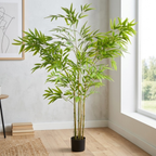 Bamboo__1__160CM