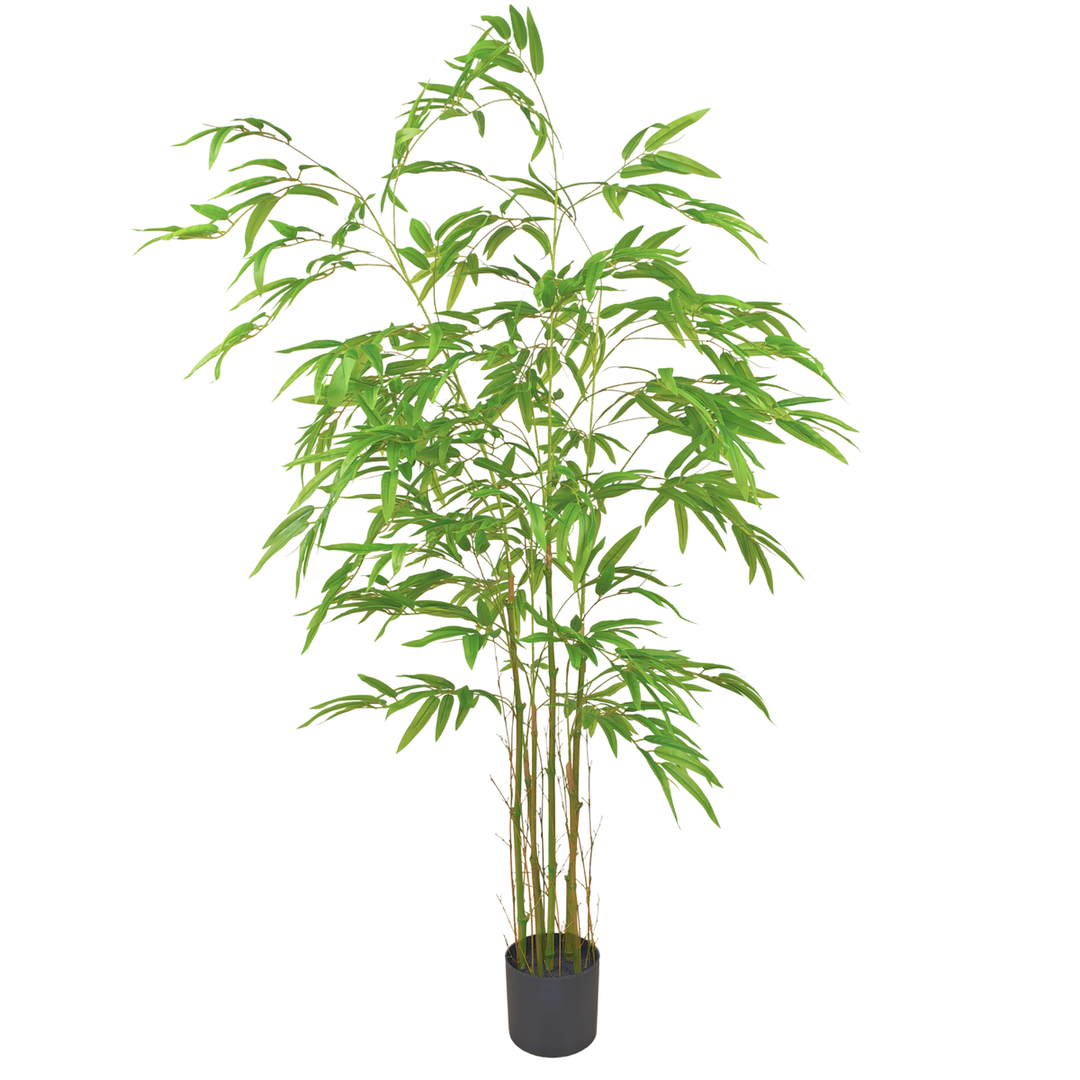 Bamboo__1__160CM
