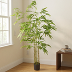 Bamboo__1__160CM