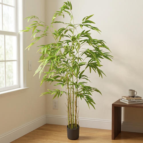 Bamboo__1__160CM