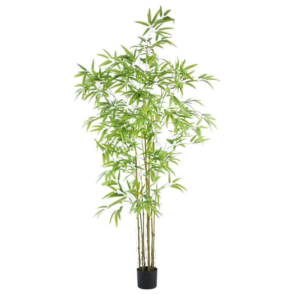 Bamboo__1__180CM