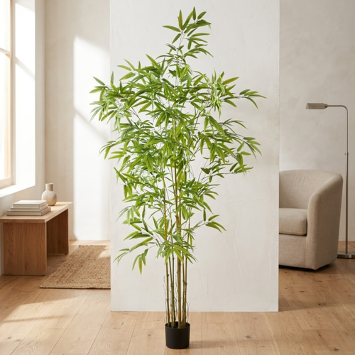 Bamboo__1__180CM
