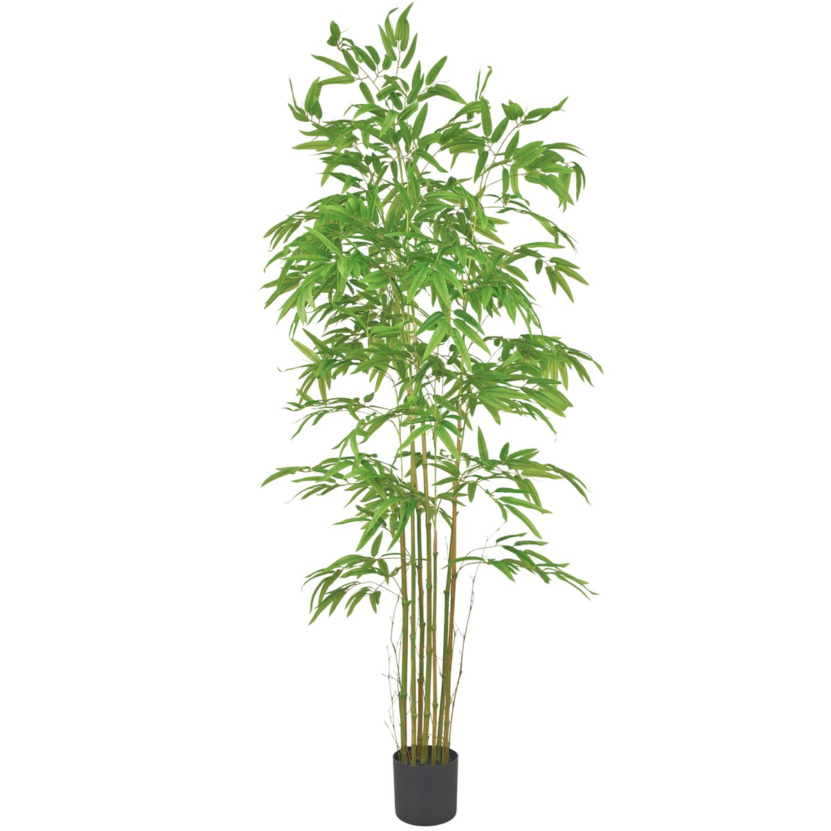 Bamboo__1__180CM