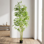 Bamboo__1__210CM