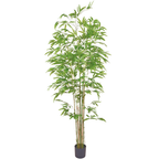 Bamboo__1__210CM