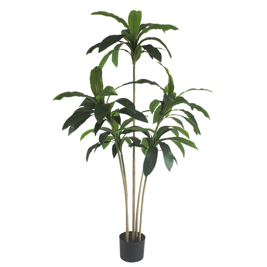Brazil Iron (green)__2__150CM