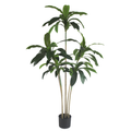 Brazil Iron (green)__2__150CM