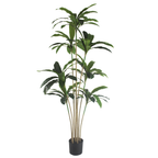 Brazil Iron (green)__2__180CM