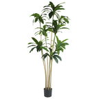 Brazil Iron (green)__2__210CM