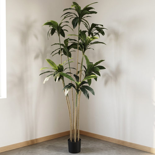 Brazil Iron (yellow)__1__210CM