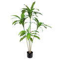 Brazil Iron (yellow)__1__120CM