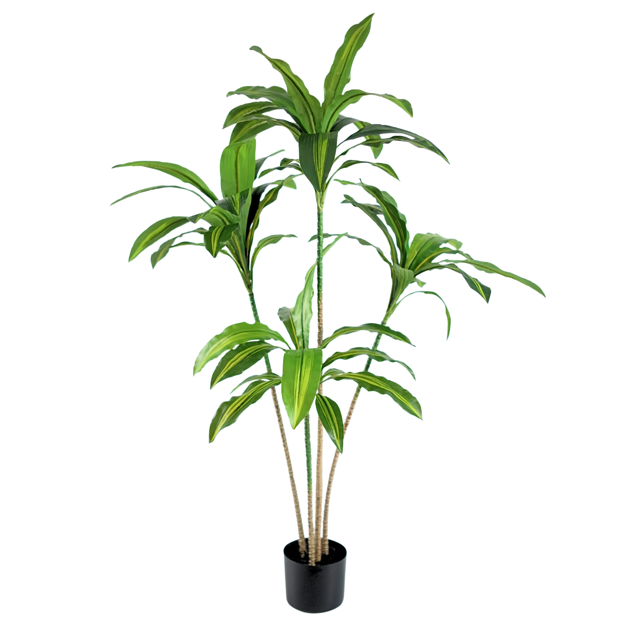 Brazil Iron (yellow)__1__120CM