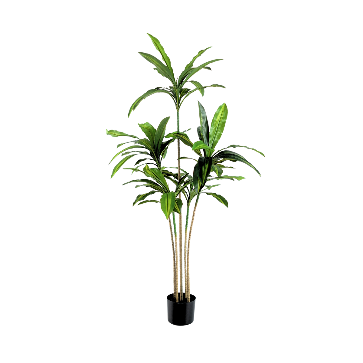 Brazil Iron (yellow)__1__150CM