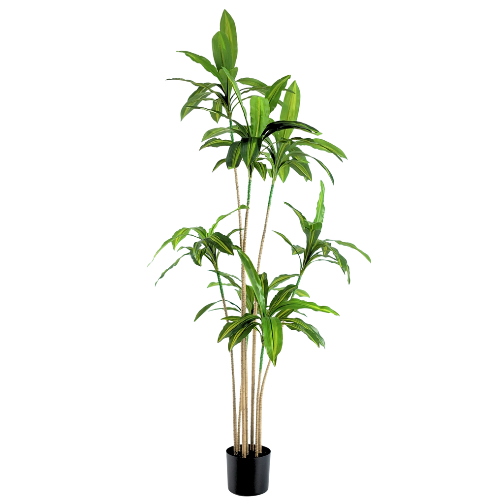 Brazil Iron (yellow)__1__180CM