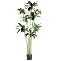 Brazil Iron (yellow)__1__210CM