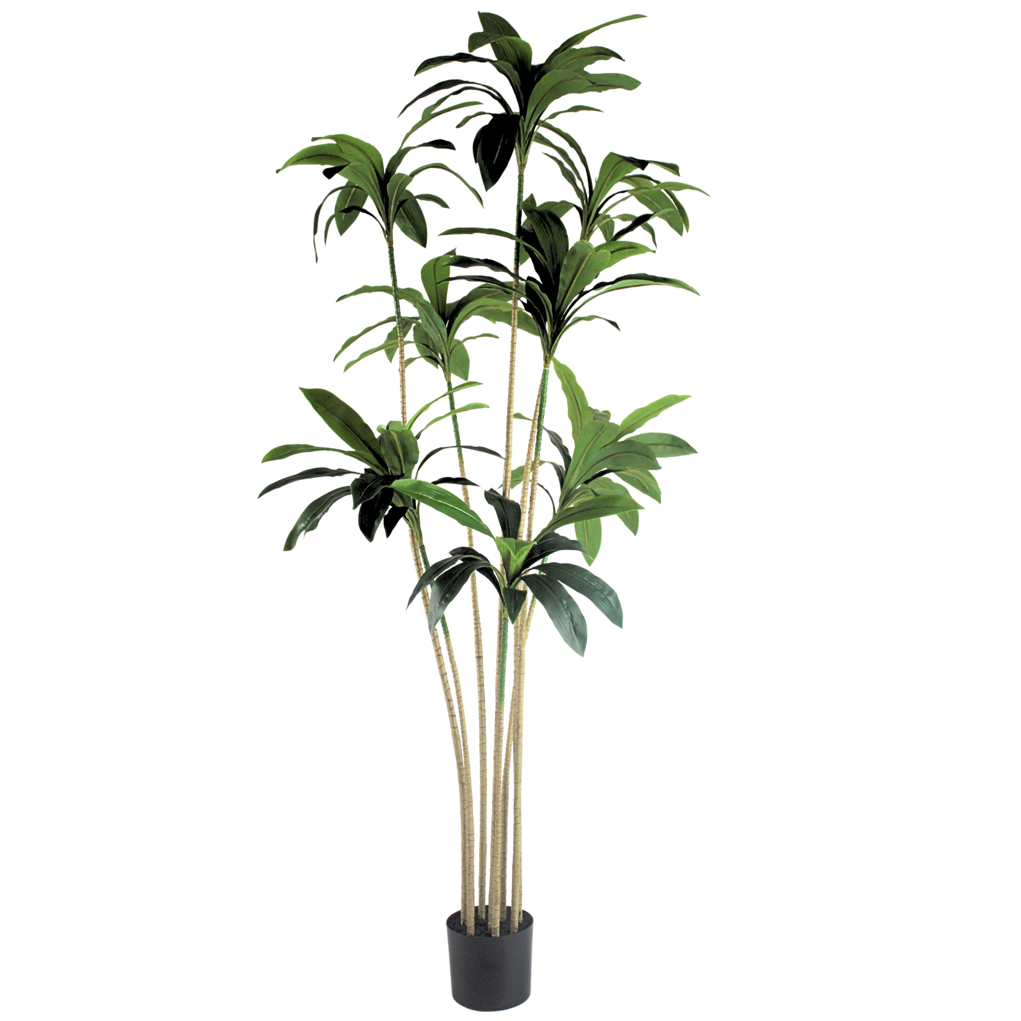 Brazil Iron (yellow)__1__210CM