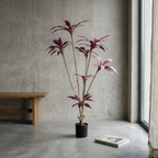Brazil Wood__1__170CM