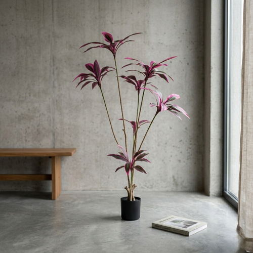 Brazil Wood__1__170CM