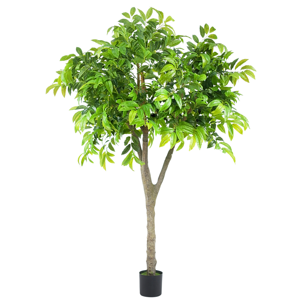 Chestnut Tree__1__200CM