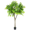 Chestnut Tree__1__200CM