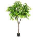 Chestnut Tree__1__200CM