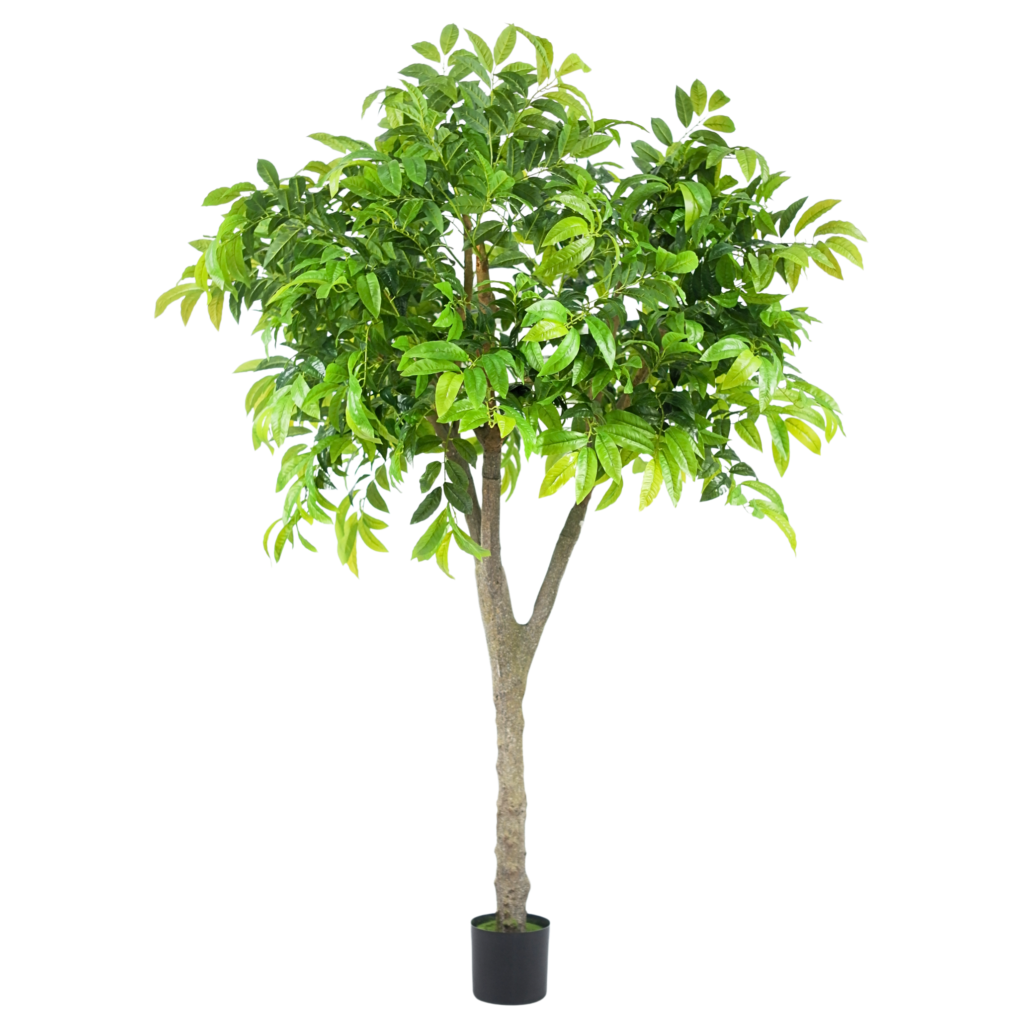 Chestnut Tree__1__200CM