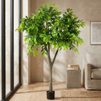 Chestnut Tree__1__200CM