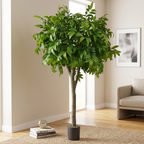 Chestnut Tree__1__200CM