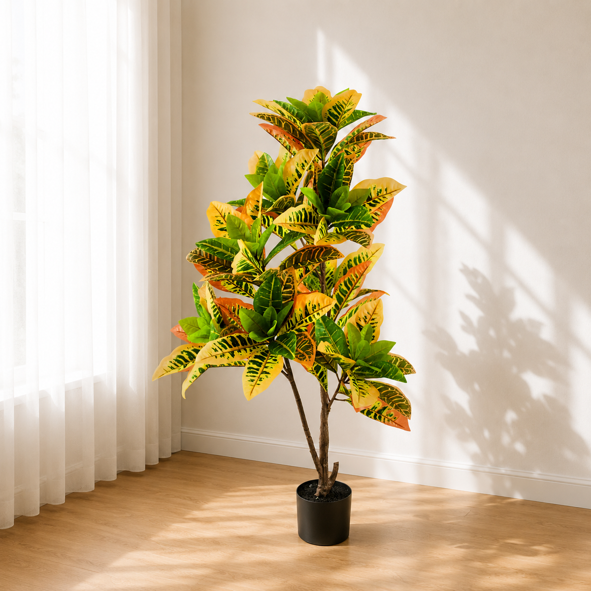 Croton__1__120CM