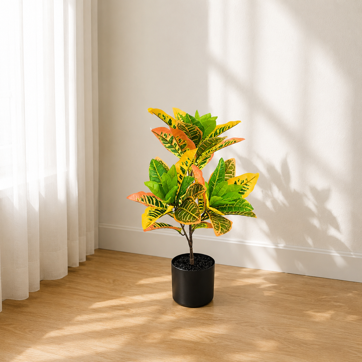 Croton__1__60CM