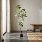 Duckfoot Wood (green)__2__165CM