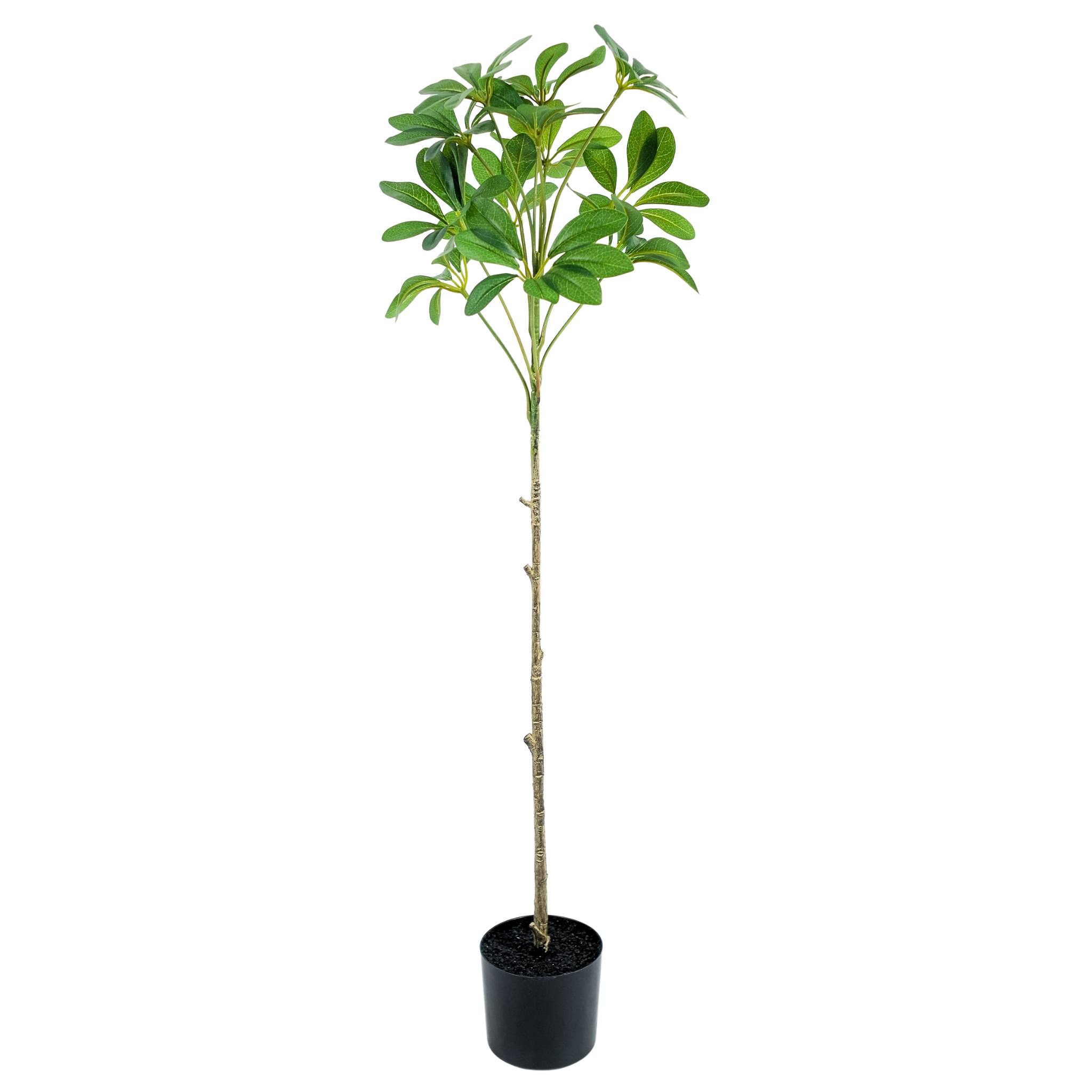 Duckfoot Wood (green)__2__90CM
