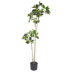 Duckfoot Wood (yellow)__1__120CM