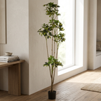 Duckfoot Wood (yellow)__1__165CM