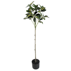 Duckfoot Wood (yellow)__1__90CM