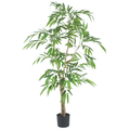 Ficus Tree (long leaves)__2__160CM
