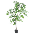 Ficus Tree (long leaves)__2__185CM