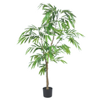 Ficus Tree (long leaves)__2__185CM