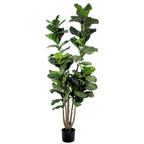 Fiddle Leaf Fig Tree__1__220CM