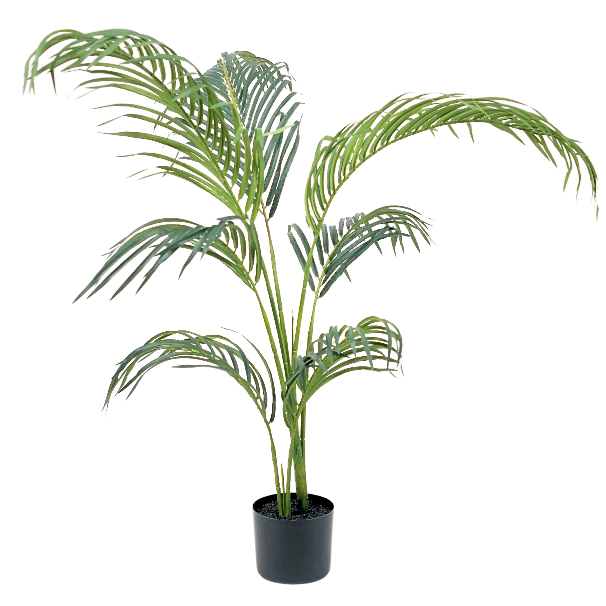 Hawaii Palm__1__120CM
