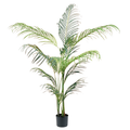 Hawaii Palm__1__150CM