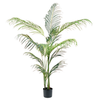 Hawaii Palm__1__150CM