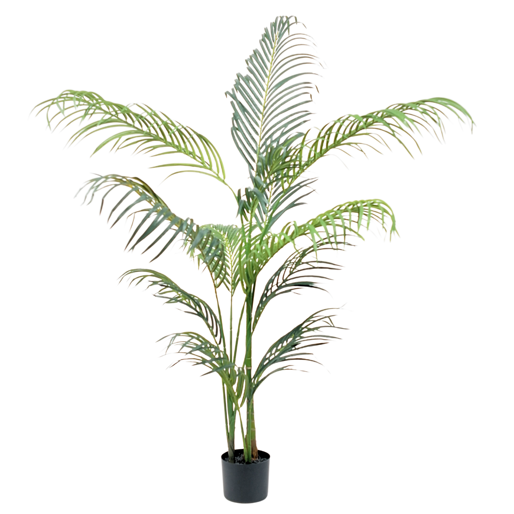 Hawaii Palm__1__150CM